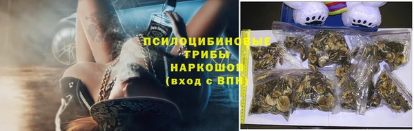 стаф Новозыбков