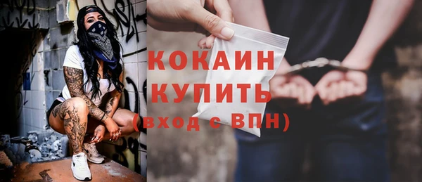 стаф Новозыбков