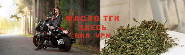 стаф Новозыбков