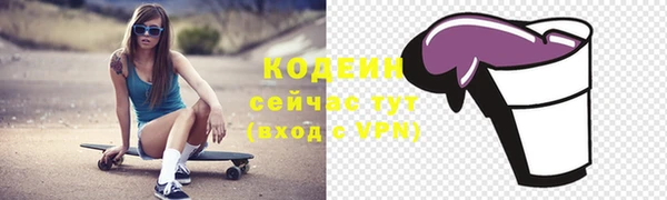 стаф Новозыбков