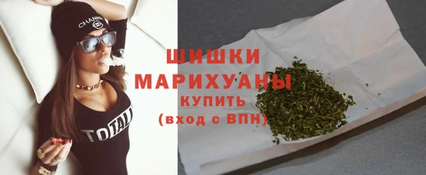 стаф Новозыбков