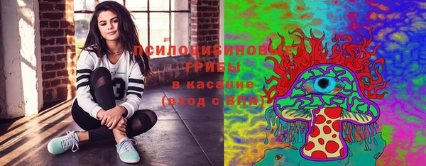 стаф Новозыбков