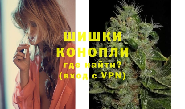 стаф Новозыбков