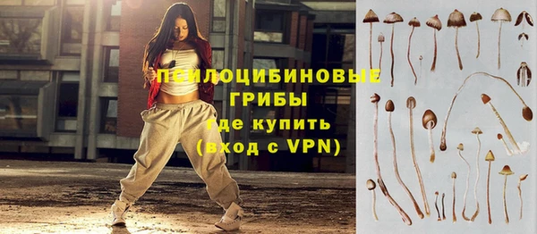 стаф Новозыбков