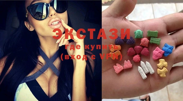 стаф Новозыбков