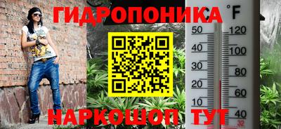 стафф Мариинск