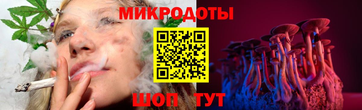 Галлюциногенные грибы Psilocybine cubensis Партизанск